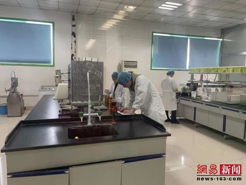 三劍客科技 向新挖潛，展翅騰飛
